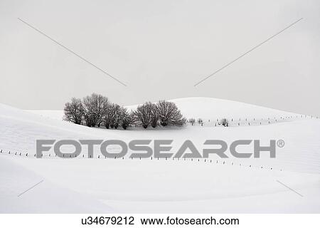 Tranquil winter scene View Large Photo Image Stock Image - Tranquil winter scene. Fotosearch