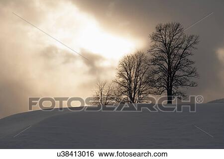 Stock Photograph - Tranquil winter scene. Fotosearch
