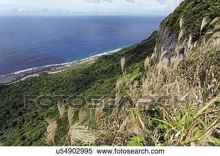 Stock Photography - Vegetation. Fotosearch