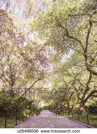 Stock Photograph - View of path. Fotosearch