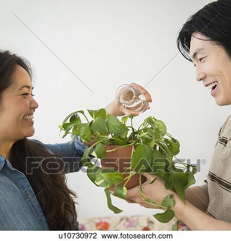 Young woman watering potted plant held by man View Large Photo Image Stock Image - Young woman watering potted plant held by man. Fotosearch