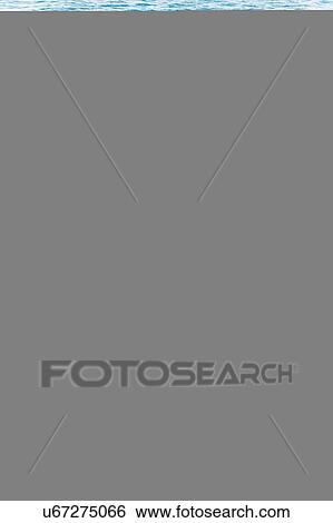 Stock Photograph - Adult humpback whale and calf, Hervey Bay, Queensland, Australia. Fotosearch