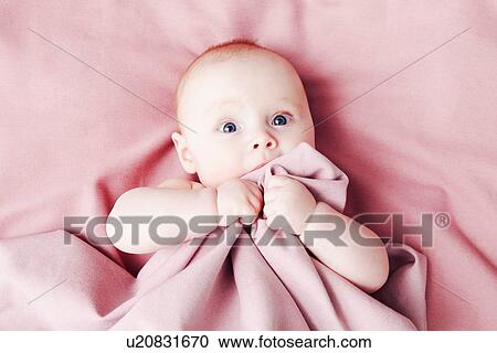 Baby girl on pink blanket View Large Photo Image Stock Image - Baby girl on pink blanket. Fotosearch