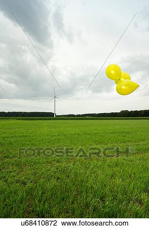 Balloons floating over green field View Large Photo Image Stock Image - Balloons floating over green field. Fotosearch