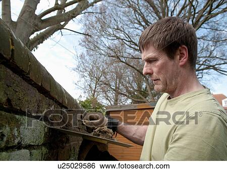 Bricklayer applying mortar View Large Photo Image Stock Photograph - Bricklayer applying mortar. Fotosearch