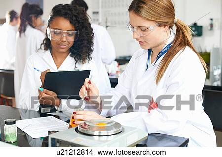 Picture - Chemistry students weighing chemicals on scales. Fotosearch
