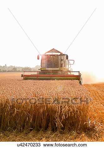 Stock Image - Combine harvester in field, Devon, England, UK. Fotosearch