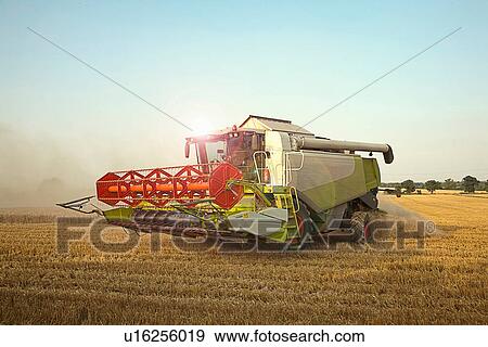 Combine harvester in field, Devon, England, UK View Large Photo Image Stock Photo - Combine harvester in field, Devon, England, UK. Fotosearch