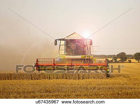 Combine harvester in field, Devon, England, UK View Large Photo Image Stock Photo - Combine harvester in field, Devon, England, UK. Fotosearch
