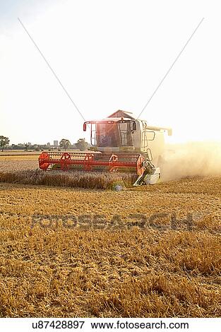 Combine harvester in field, Devon, England, UK View Large Photo Image Stock Photo - Combine harvester in field, Devon, England, UK. Fotosearch