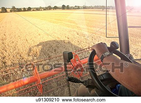 Farmer driving combine harvester, Devon, England, UK View Large Photo Image Stock Image - Farmer driving combine harvester, Devon, England, UK. Fotosearch