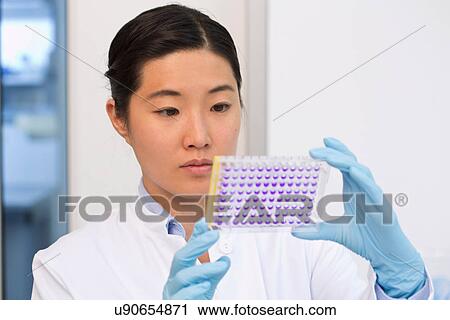Stock Image - Female scientist examining samples in microtiter plate with crystal violet solution. Fotosearch