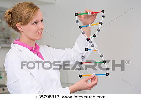 Female scientist with dna molecular model in laboratory View Large Photo Image Stock Image - Female scientist with dna molecular model in laboratory. Fotosearch
