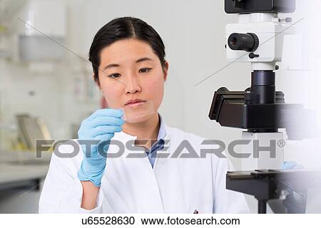 Female scientist working in laboratory with microscope View Large Photo Image Stock Image - Female scientist working in laboratory with microscope. Fotosearch