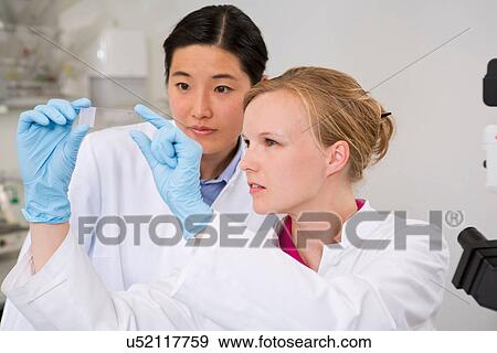 Stock Photo - Female scientists looking at microscopic slides. Fotosearch