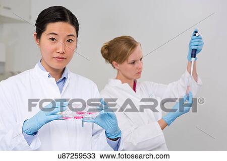Female scientists working in laboratory. Examining cell growth in 6-well plate (front), examing solution of cell secreting products (back) View Large Photo Image Stock Image - Female scientists working in laboratory. Examining cell growth in 6-well plate (front), examing solution of cell secreting products (back). Fotosearch