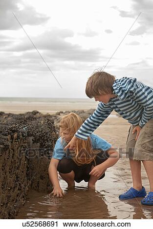 Friends looking in rock pool View Large Photo Image Stock Image - Friends looking in rock pool. Fotosearch