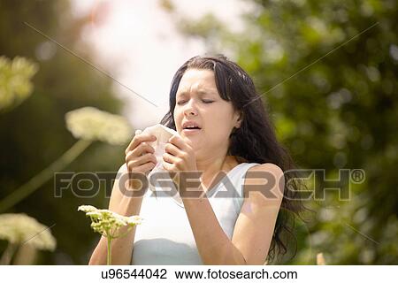 Girl about to sneeze into tissue View Large Photo Image Stock Image - Girl about to sneeze into tissue. Fotosearch
