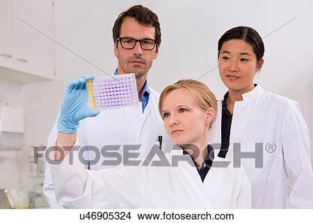 Group of scientists analyzing microtiter plate with crystal violet solution View Large Photo Image Picture - Group of scientists analyzing microtiter plate with crystal violet solution. Fotosearch