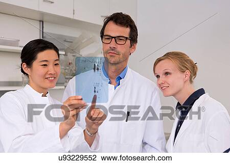 Stock Image - Group of scientists checking western blot results, protein expression. Fotosearch