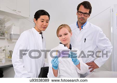 Group of scientists examining microtiter plate with crystal violet solution View Large Photo Image Stock Photo - Group of scientists examining microtiter plate with crystal violet solution. Fotosearch