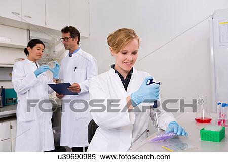 Group of scientists working in laboratory. Pipetting solution into microtiter plate (front), discussing bacterial growth on petri dish (back) View Large Photo Image Stock Photography - Group of scientists working in laboratory. Pipetting solution into microtiter plate (front), discussing bacterial growth on petri dish (back). Fotosearch