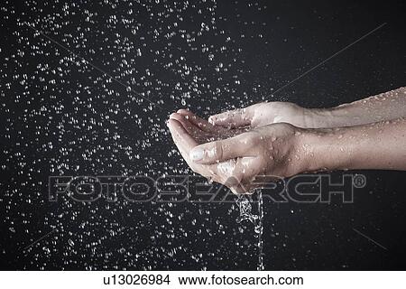 Picture - Hands cupping under shower. Fotosearch