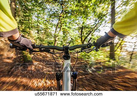 Man cycling through forest View Large Photo Image Stock Image - Man cycling through forest. Fotosearch