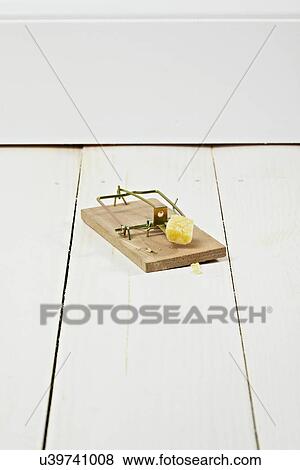 Piece of cheese in mousetrap View Large Photo Image Stock Photo - Piece of cheese in mousetrap. Fotosearch