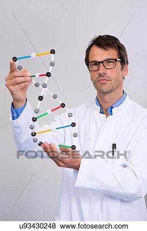 Portrait of scientist with dna molecular model View Large Photo Image Stock Photo - Portrait of scientist with dna molecular model. Fotosearch