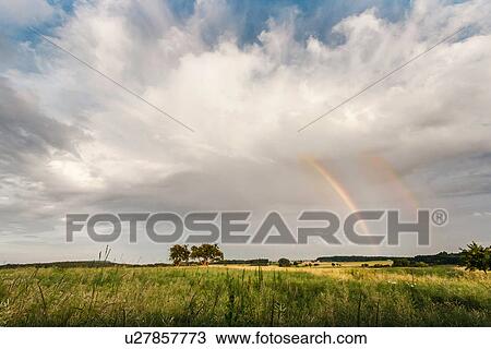 Stock Image - Rainbow in field, Nussbaum, Baden-Wuerttemberg, Germany. Fotosearch