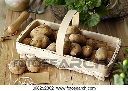 Stock Image - Raw potatoes in basket. Fotosearch