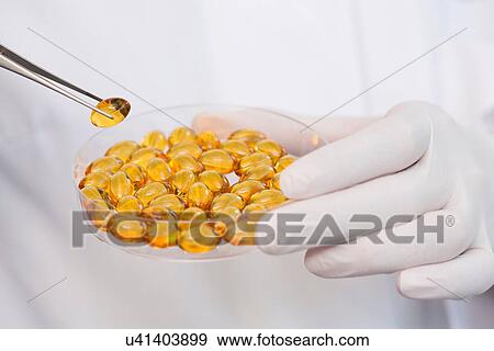 Removing fish oil capsules from petri dish with tweezers View Large Photo Image Stock Photo - Removing fish oil capsules from petri dish with tweezers. Fotosearch