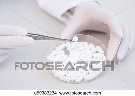 Picture - Removing tablets from petri dish with tweezers. Fotosearch