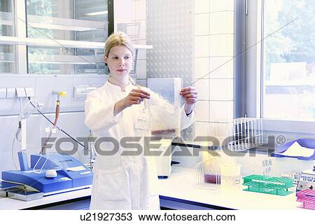 Scientist holding up clear plastic bag of sample View Large Photo Image Stock Image - Scientist holding up clear plastic bag of sample. Fotosearch