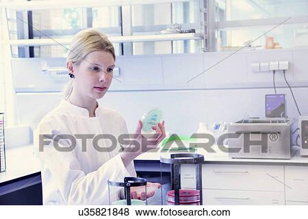 Scientist looking at petri dish View Large Photo Image Stock Photo - Scientist looking at petri dish. Fotosearch
