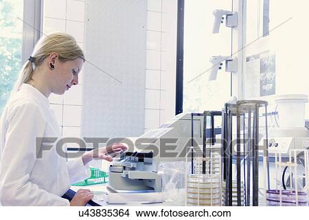 Picture - Scientist looking down at petri dish. Fotosearch
