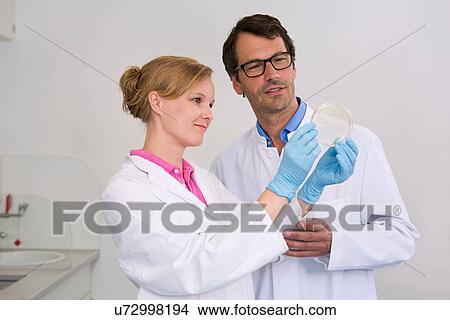 Picture - Scientists examining bacterial growth/plaques in petri dish. Fotosearch