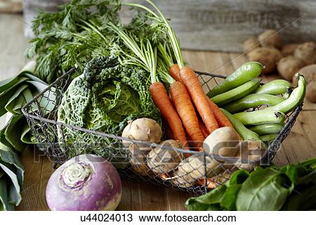 Selection of fresh vegetables in metal wire basket View Large Photo Image Stock Image - Selection of fresh vegetables in metal wire basket. Fotosearch