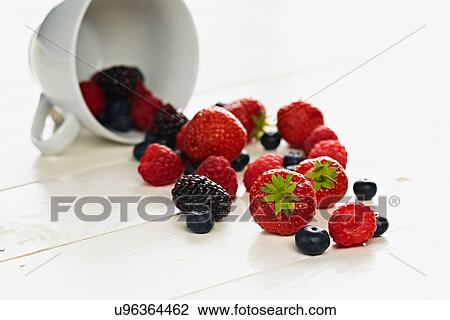 Strawberries, raspberries, blackberries and blueberries spilling form teacup View Large Photo Image Stock Image - Strawberries, raspberries, blackberries and blueberries spilling form teacup. Fotosearch