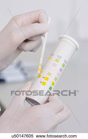 Technician testing urine sample View Large Photo Image Stock Photography - Technician testing urine sample. Fotosearch