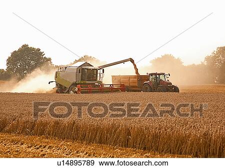 Tractor and combine harvester in field, Devon, England, UK View Large Photo Image Stock Photo - Tractor and combine harvester in field, Devon, England, UK. Fotosearch