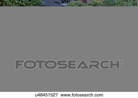 Stock Photo - Young woman sitting carefree on grass. Fotosearch
