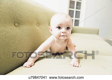 Baby boy (6-11 months) crawling on sofa View Large Photo Image Stock Image - Baby boy (6-11 months) crawling on sofa. Fotosearch