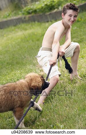 Stock Photo - Boy (12-13) and his dog playing with rope. Fotosearch
