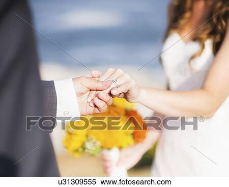 Close up of bride and groom holding hands View Large Photo Image Stock Photography - Close up of bride and groom holding hands. Fotosearch