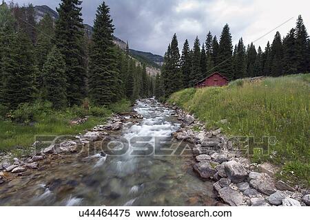 Creek in National Forrest View Large Photo Image Stock Photography - Creek in National Forrest. Fotosearch