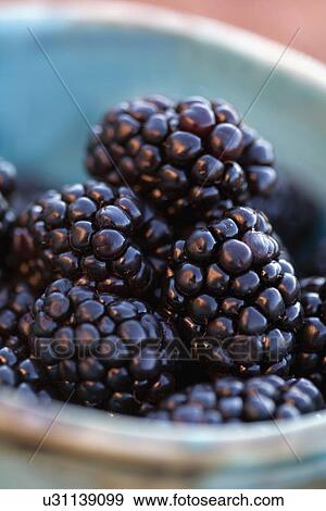 Stock Photo - Detail of blackberries in bowl. Fotosearch
