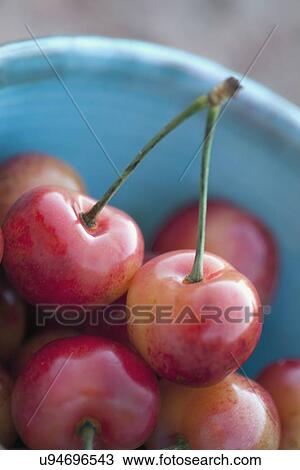 Stock Image - Detail of sour cherries in bowl. Fotosearch