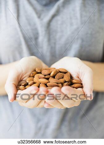 Stock Photo - Hands holding almonds, studio shot. Fotosearch